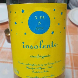 Insolente Vini - Luca Elettri - Vino Frizzante