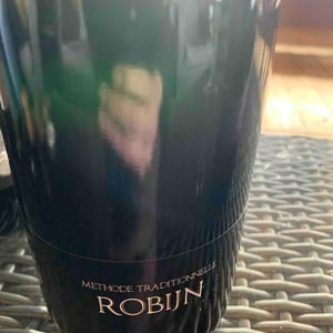 Robijn - Optimbulles - Maxim Geunis & family -2021