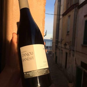 Domaine Danjou-Banessy - Benoît & Sébastien Danjou - Roboul