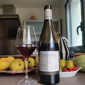 Domaine Danjou-Banessy - Benoît & Sébastien Danjou - Roboul