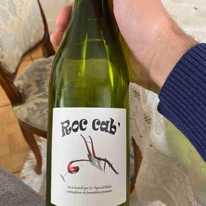Les Vignes de Babass - Sebastien Dervieux - Roc Cab'