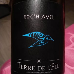 Terre de L'Elu - Charlotte et Thomas Carsin - Roch'Avel