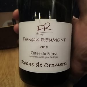 Roche de Cromorel - Domaine François Reumont (CLOSED) - francois-reumont-closed -2019