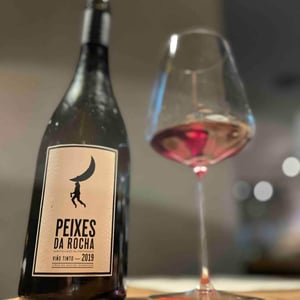 Peixes Da Rocha - Fedellos do Couto - luis-taboadacurro-barreno-jesus-olivares -2019