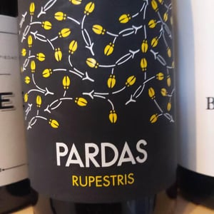Rupestris - Celler Pardas - ramon-parera-jordi-arnan