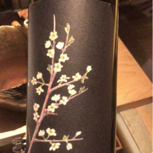 STANCAVIZI - Podere La Cerreta - Mazzanti Mattia, Tommaso 