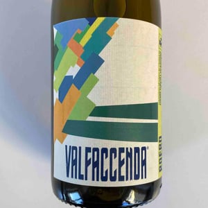 Roero Arneis - Azienda Agricola Valfaccenda - Luca Faccenda & Carolina Roggero -2020