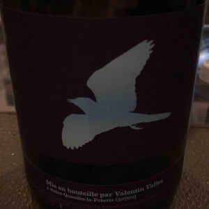 Rollier - Valentin Valles - valentin-valles