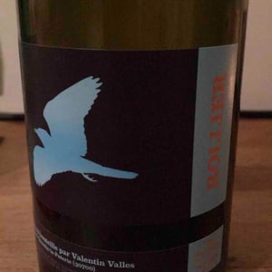 Valentin Valles - Valentin Valles - Rollier