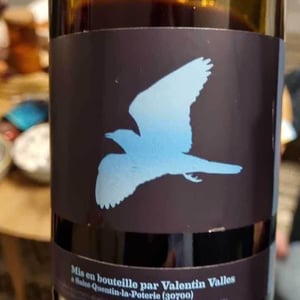 Valentin Valles - Valentin Valles - Rollier