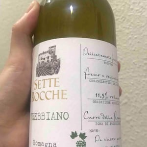 Romagna DOC Trebbiano - Sette Rocche - terre-cevico