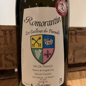 Romorantin - Les Cailloux du Paradis - claude-etienne-courtois