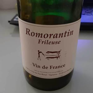 Romorantin - Clos du Tue-Bœuf - Zoé, Louise & Thierry Puzelat 