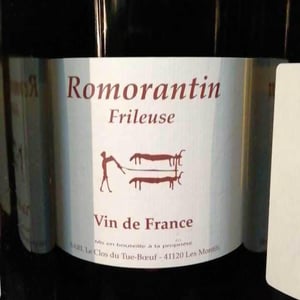 Frileuse - Clos du Tue-Bœuf - zoe-louise-thierry-puzelat