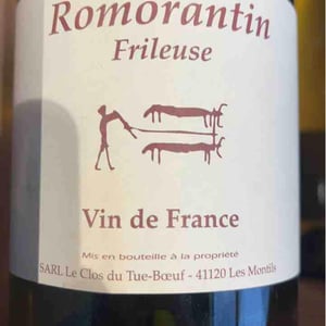 Frileuse - Clos du Tue-Bœuf - zoe-louise-thierry-puzelat