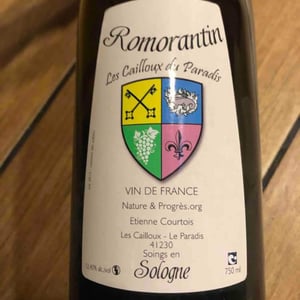 Romorantin - Les Cailloux du Paradis - claude-etienne-courtois