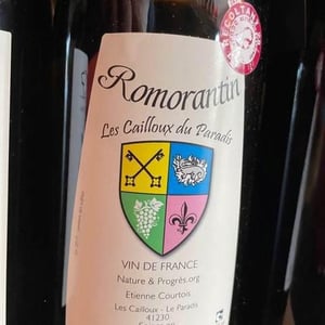 Romorantin - Les Cailloux du Paradis - claude-etienne-courtois
