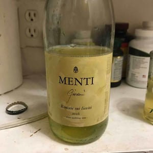 Roncaie sui Lieviti 2016