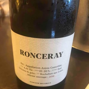 Ronceray - Domaine Belargus - adrien-moreau-ivan-massonnat -2018