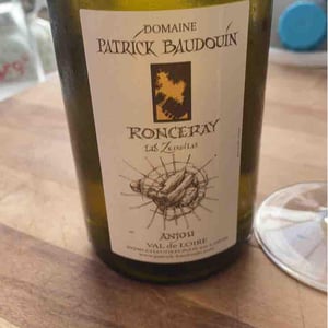 Ronceray - les Zerzilles 19
