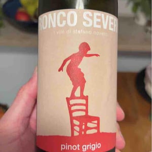 Pinot Grigio - Ronco Severo - Stefano Novello 