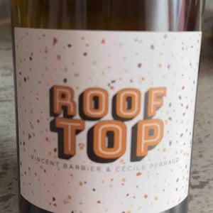 Rooftop - Les Trois Toits - vincent-barbier-cecile-perraud -2020