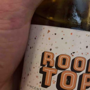 Rooftop - Les Trois Toits - vincent-barbier-cecile-perraud -2020