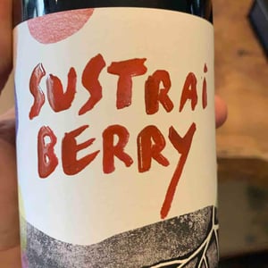 Sustrai Berry - Bodegas Aristu - Ibon Ollo -2021