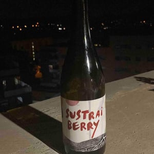 Sustrai Berry - Bodegas Aristu - ibon-ollo -2021