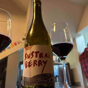 Sustrai Berry - Bodegas Aristu - Ibon Ollo -2021