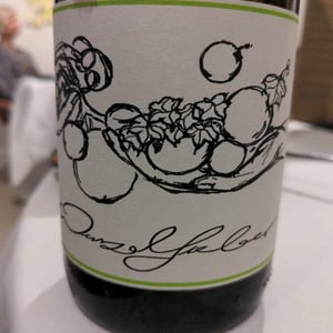 Wurzelfieber - Weingut Theo Minges - theo-minges-regine-minges-and-fritz-hohlreiter -2020