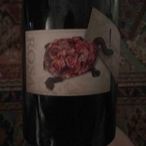 Rosa - Mornington Peninsula - quealy