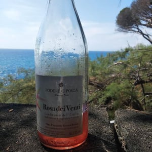 Podere Cipolla - Denny Bini - Rosa Dei Venti