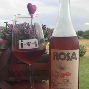 Azienda Agricola Fonterenza - Margherita & Francesca Padovani - Rosa di Fonterenza