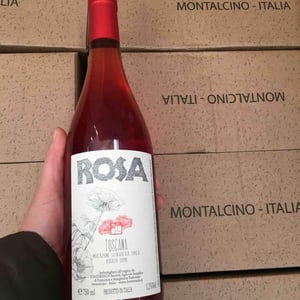 Rosa di Fonterenza - Azienda Agricola Fonterenza - Margherita & Francesca Padovani 