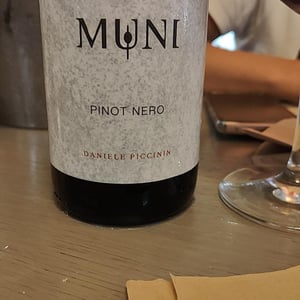 Rosa Frizzante - Muni Di Daniele Piccinin - Daniele Piccinin 
