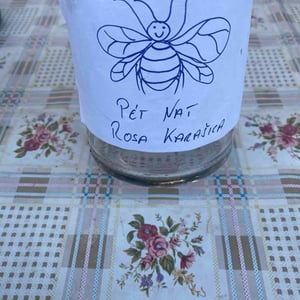 Rosa Karasica - Hummel Pincészet - Weingut Hummel - Horst Hummel -2021