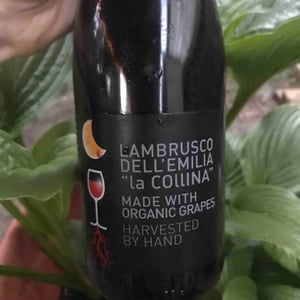 Rosa Luna Lambrusco dell’Emilia - Cooperativa Agricola La Collina - enea-burani