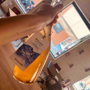 Rosado Gorgollassa - Selva Vins - Carlos Rodriguez Furthmann -2021