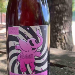 Rosafante - Sete - Vini Naturali - emiliano-giorgi-arcangelo-galuppi-martina-dalessio -2020