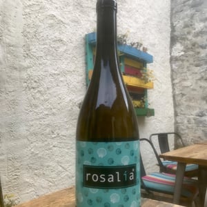 Rosalía - Constantina Sotelo Micro Bodega - constantino-sotelo -2022