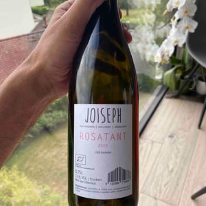 Rosatant - Joiseph Weingut - Richard Artner, Xandl Kagl & Luka Zeichmann 