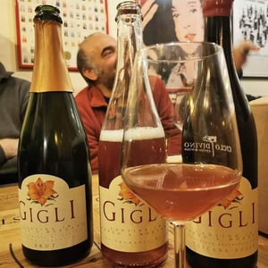 Rosato - Cantina Gigli - Angelo Bertacchini 
