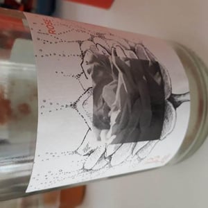 Rosé - Le Jonc Blanc - isabelle-carles-franck-pascal