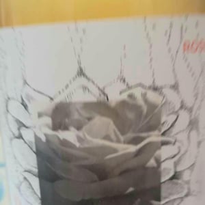 Rosé - Le Jonc Blanc - Isabelle Carles & Franck Pascal 