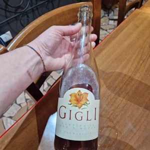 Rosè - Cantina Gigli - Angelo Bertacchini 