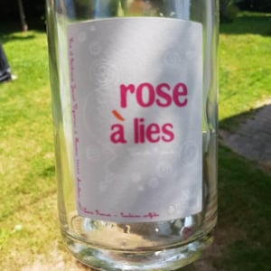 Rose à Lies 2017