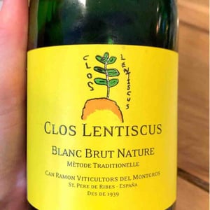 Rose Brut Nature - Clos Lentiscus - manel-avino