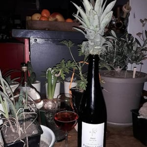 Rosé Brut Nature - Champagne Ruppert-Leroy - emmanuel-ruppert-benedicte-leroy