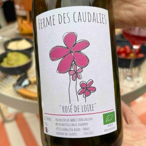 Rosé de Loire - La Ferme des Caudalies - arnaud-crasnier -2022